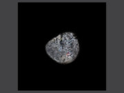 Image alt