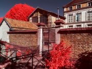 Image alt