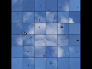 Image alt