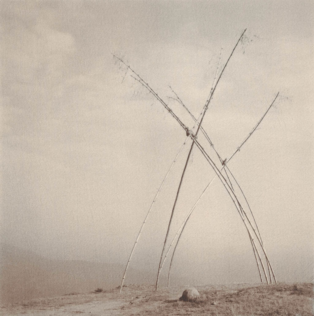 Christine Lefebvre, Chroniques de l’oiseau perdu 9 Lives Magazine