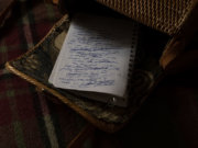 Image alt