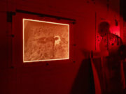 Image alt