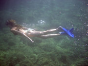 Image alt
