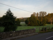 Image alt