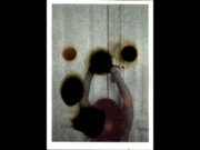 Image alt