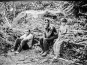Image alt