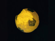 Image alt