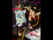 Image alt