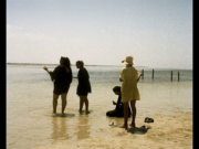 Image alt