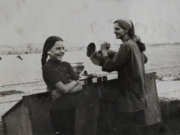 Image alt