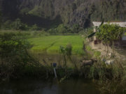 Image alt