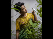 Image alt