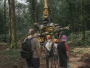 Image alt