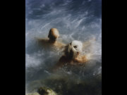 Image alt